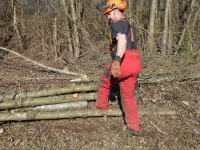 Arbeitseinsätze 2012