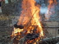 Arbeitseinsätze 2012