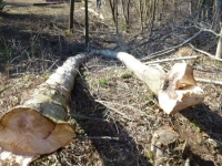 Arbeitseinsätze 2012