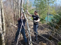 Arbeitseinsätze 2012