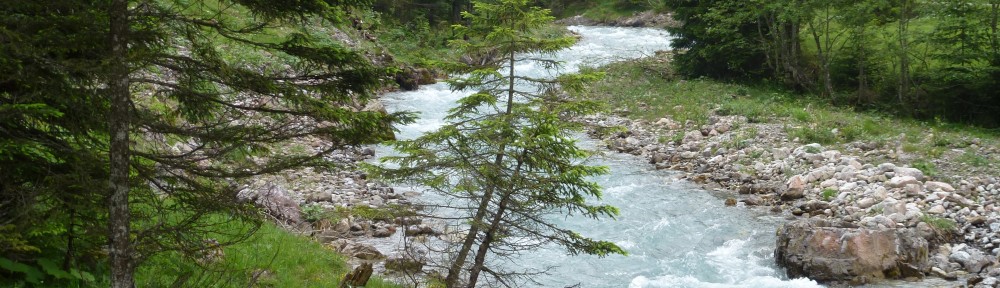 Fischersaison am Mengbach 2023